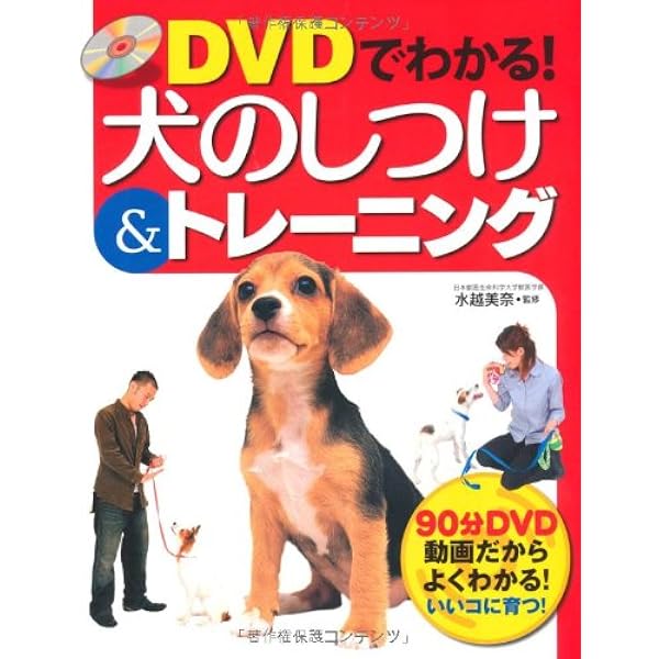 DVD付 遠藤和博の問題行動が10分でなおる 犬のしつけ スマートカラー